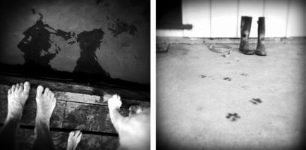 Зворушлива до сліз данину пам'яті померлої собаці в серії фотографій її господині-фотографа