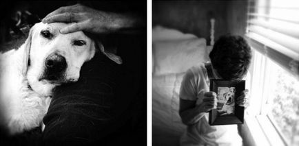 Atingerea lacrimilor aduce tribut memoriei câinelui decedat într-o serie de fotografii ale amantei-fotografului ei