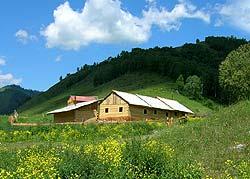 Pensiuni și centre de agrement în munți Altai zaimka boriskin log
