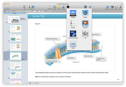 Підручник xxi століття огляд програми ibooks author для ipad