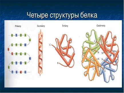 Вуглеводи мономери вуглеводів - прості цукри або моносахариди