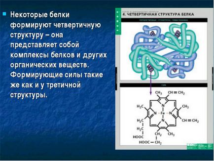 Вуглеводи мономери вуглеводів - прості цукри або моносахариди