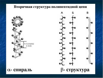 Вуглеводи мономери вуглеводів - прості цукри або моносахариди