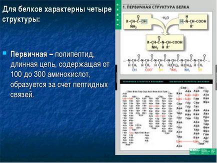 Вуглеводи мономери вуглеводів - прості цукри або моносахариди