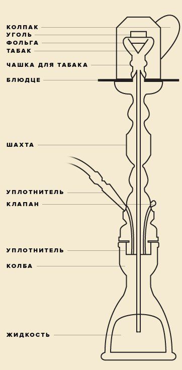 Ультимативний гід по кальянів