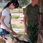 Садиба Чукавина - як дістатися, історія, фото