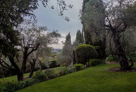 Vedeți Provence și învățați să trăiți lumea călătoriei