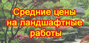 Îngrijirea grădinii de piatră, în primăvară, iarna, în toamnă, vara, cum să îngrijești corespunzător plantele,