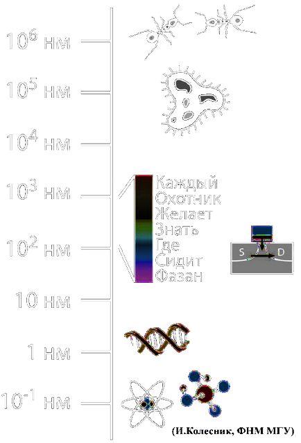 Lásd a molekula és meghal, egy építész, a tervező, egy személy (lásd atom molekula csökkentik a baktérium sejtekben a HIV az AIDS) Lásd a molekula, és meghal, építész, tervező, férfi