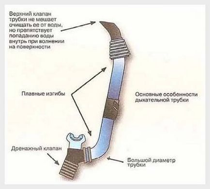 Alegerea unui tub pentru scufundări