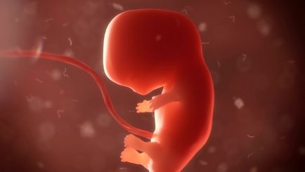 Típusai, jellemzői és hatásai abortusz (krónikus gyulladás) Típusai, jellemzői és következményei az abortusz