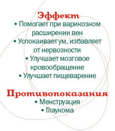 Віпаріта карані - освоюємо пози - уроки йоги