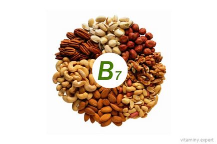 Вітаміни групи b детальний огляд, їх функції та джерела