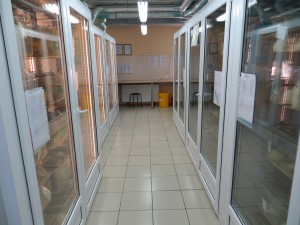 Vivariumul premiselor și condițiilor de păstrare a animalelor, un vivarium pentru păstrarea animalelor de laborator,