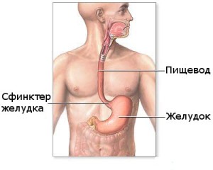 Supraviețuirea în cancerul esofagului din toate etapele