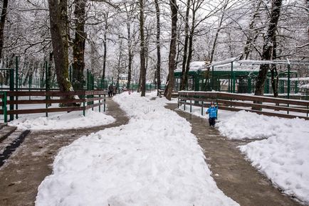 Вольєрний комплекс - лаура