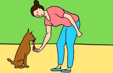 Asta este ceea ce câinele vrea să spună atunci când vă linge picioarele - primul cognitiv