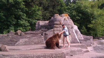 În Polonia omul a luptat cu un urs la grădina zoologică