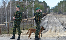 Вершник без голови єдність в пошуках лідера