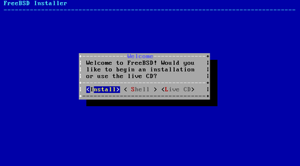 Web-szerver freebsd