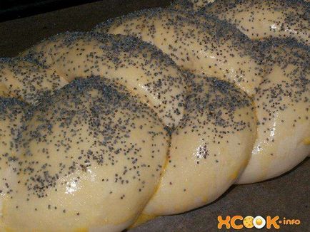 Hala (răchită cu semințe de mac) - rețetă cu fotografie de gătit