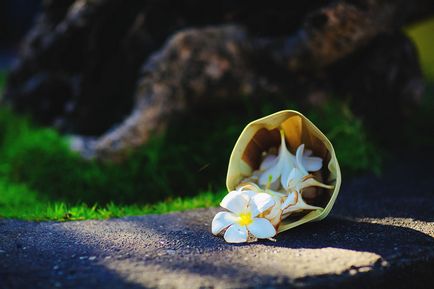 Templul fotografiei Uluwat din Bali și răspunsul nostru - pe marginea templului uluwatu a abisului