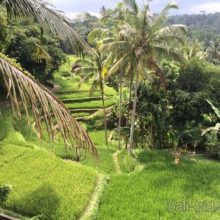 Templul lui Uluwatu la Bali - fotografie și descrierea templului