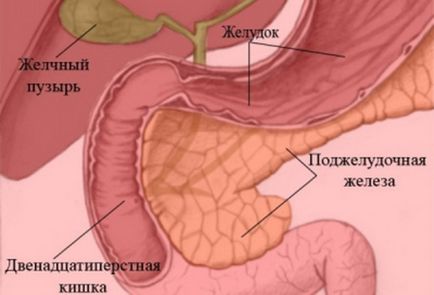 Gastroduodenita cronică - ce este, tipurile și simptomele din stadiul acut la copii, fotografii,