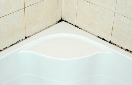 Навіщо потрібна гідроізоляція в ванній кімнаті відповідь експертів