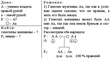 Завдання і методи генетики