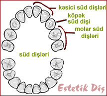 Zdorovbe зъбите и устната кухина при деца - Estetik Dis - зъбите и зъболекарски