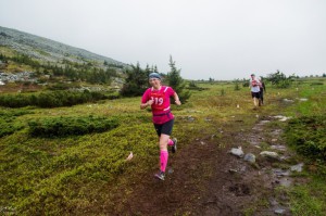 Sănătos, ca elk, sport în pădure