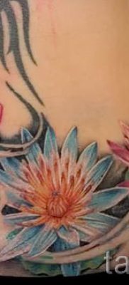 Înțeles tattoo water lily - sens, istorie și fotografii de tatuaje gata făcute