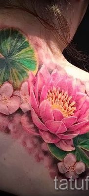 Înțeles tattoo water lily - sens, istorie și fotografii de tatuaje gata făcute