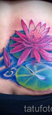 Înțeles tattoo water lily - sens, istorie și fotografii de tatuaje gata făcute