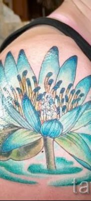 Înțeles tattoo water lily - sens, istorie și fotografii de tatuaje gata făcute