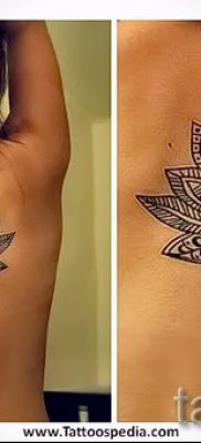 Înțeles tattoo water lily - sensul, istoria și fotografia tatuajelor gata făcute