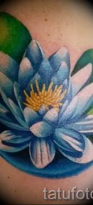 Înțeles tattoo water lily - sensul, istoria și fotografia tatuajelor gata făcute