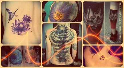 Înțeles tattoo water lily - sensul, istoria și fotografia tatuajelor gata făcute