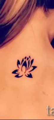 Înțeles tattoo water lily - sens, istorie și fotografii de tatuaje gata făcute