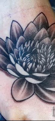 Înțeles tattoo water lily - sens, istorie și fotografii de tatuaje gata făcute