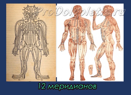 12 meridiane, medicină orientală, întinerire și longevitate
