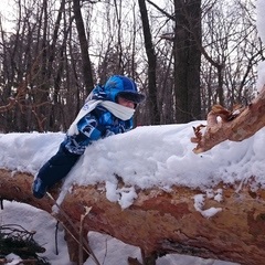 5 moduri de a lua un copil în bucătărie în timpul gătitului