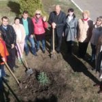 Jelentkező - natsіonalny farmatsevtichny unіversitet (NUPh)