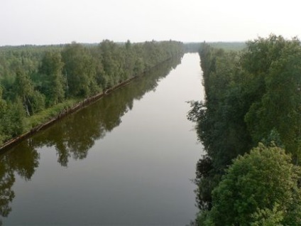 А що робить дід мороз влітку автоподорож з дітьми