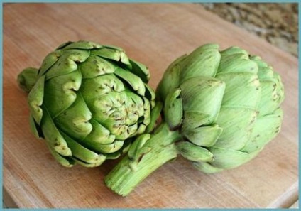 Artichoke proprietati utile si contraindicatii pentru retete de femei si barbati