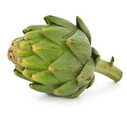 Artichoke proprietati utile si contraindicatii pentru retete de femei si barbati