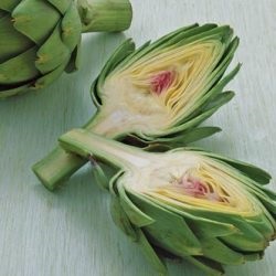 Artichoke proprietati utile si contraindicatii pentru retete de femei si barbati