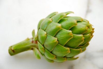 Artichoke proprietati utile si contraindicatii pentru retete de femei si barbati