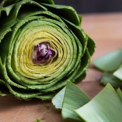 Artichoke proprietati utile si contraindicatii pentru retete de femei si barbati